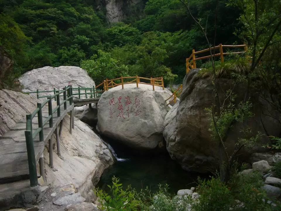 河南伏牛山(河南伏牛山风景区)_友友