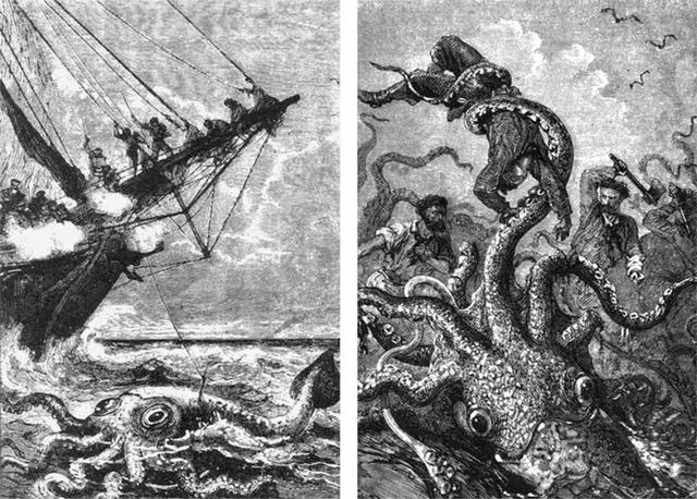 从荒诞传说到科学事实(从荒诞传说到科学事实,北海巨妖"克拉肯"是如何