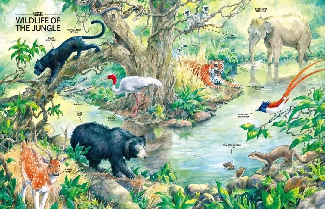 中国的三大黑科技：液态金属有生命、沙漠加水变良田、蚊子在绝育