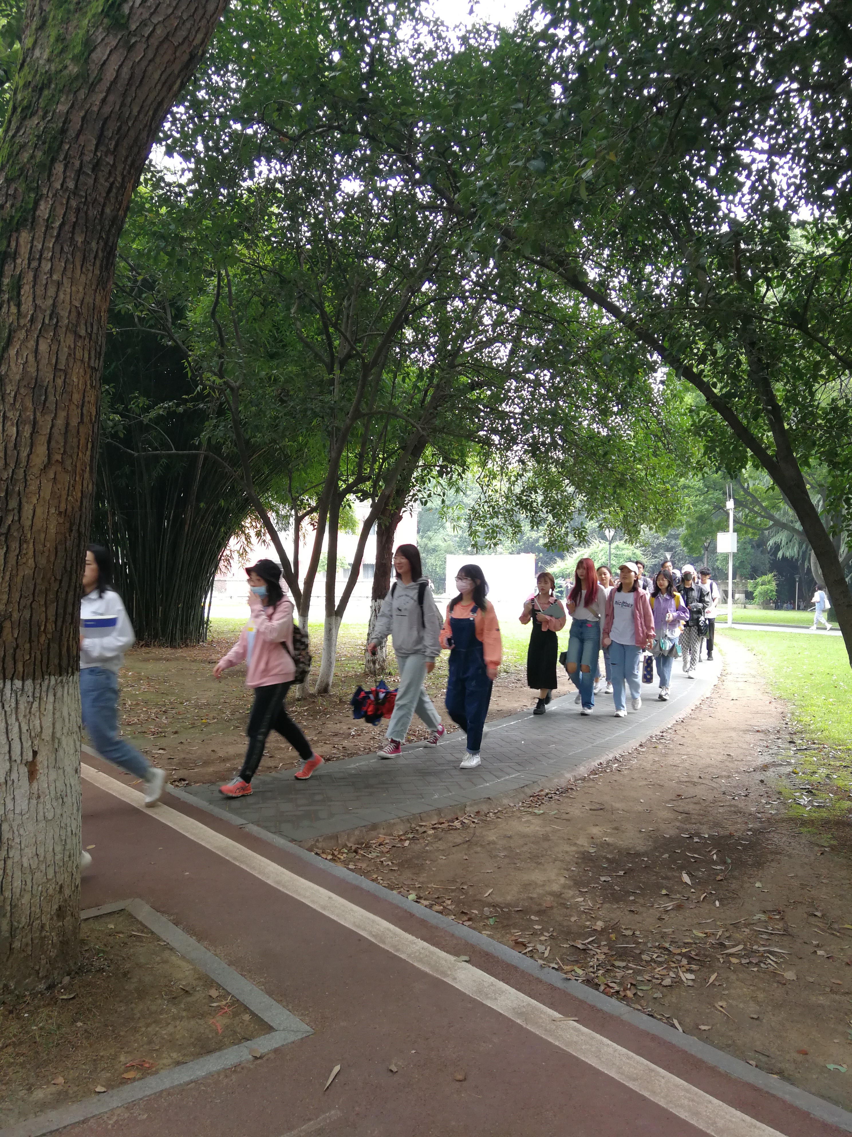 “爱在华师”：露天电影场的台阶结满青苔｜诗歌推荐