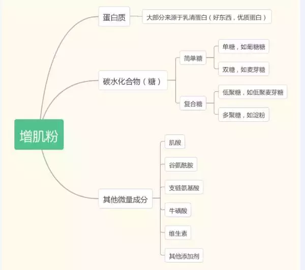 增肌粉副作用（关于增肌粉的相关知识大全）