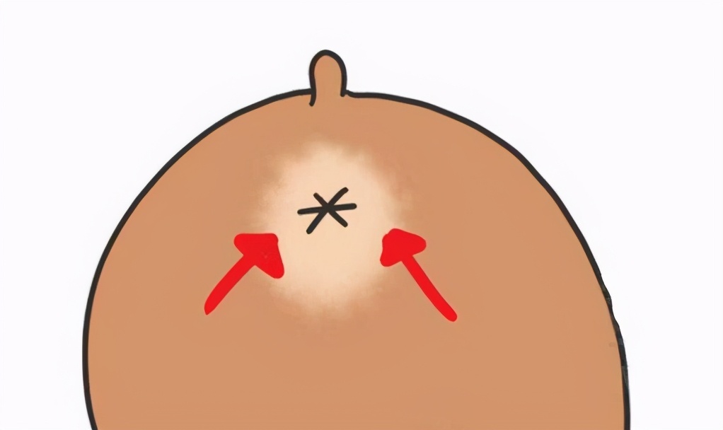 养狗知识：如何帮狗狗挤肛门腺？