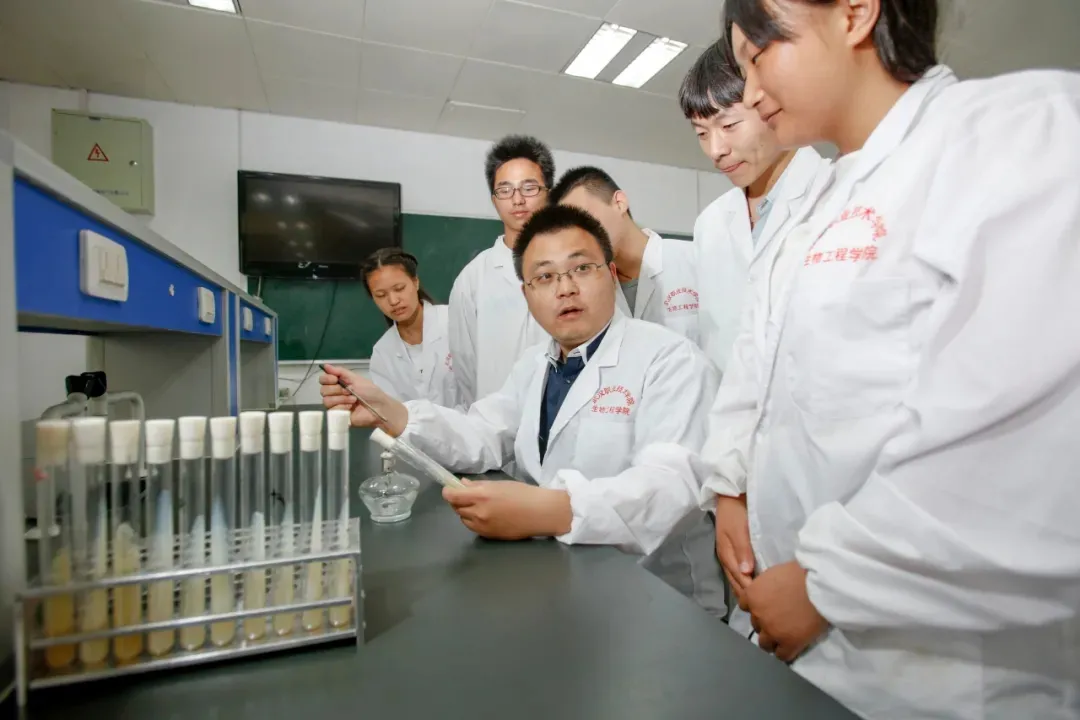 武汉职业技术学院这个学院值得报考，有很多毕业生都考取了博士…