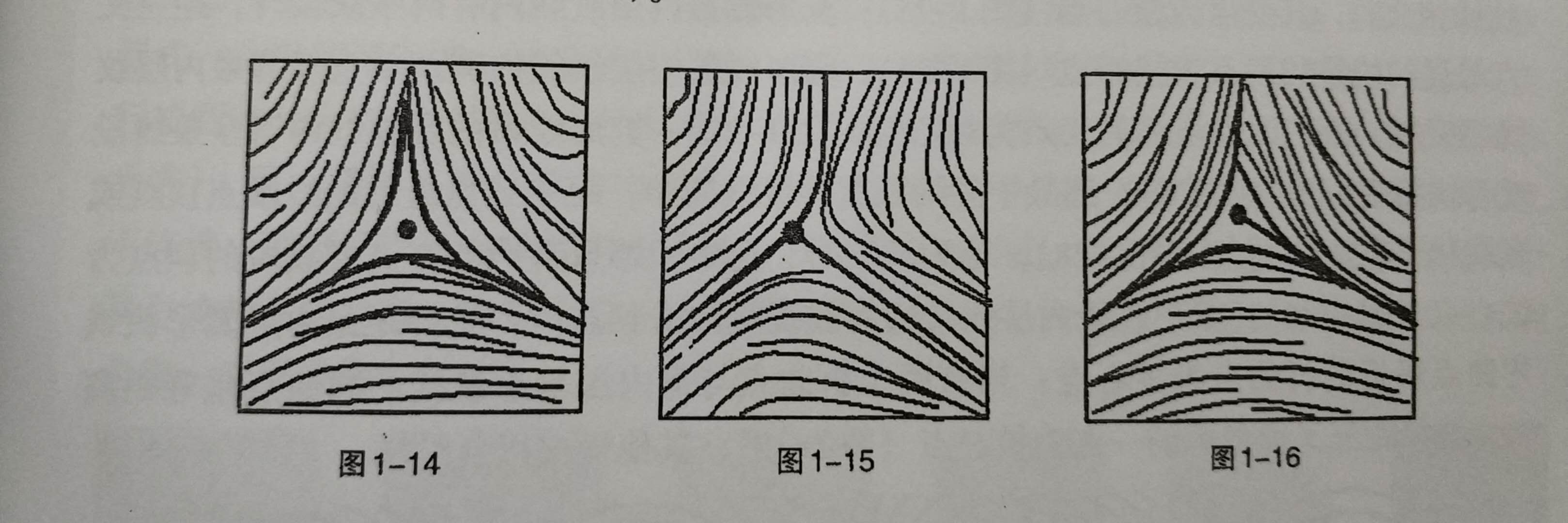 手纹的“自我介绍”