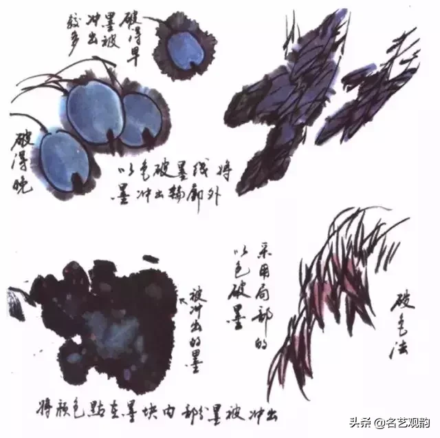 国画技法 | 写意花鸟画色彩技法详解之染色方法