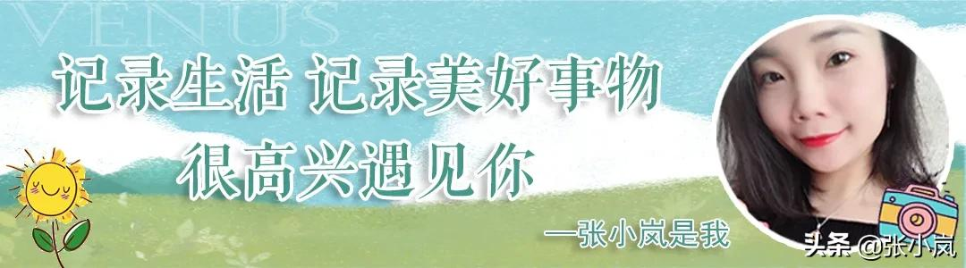 藏在韶关市中心森林里的儿童公园，大部分人都不知道，光速安排