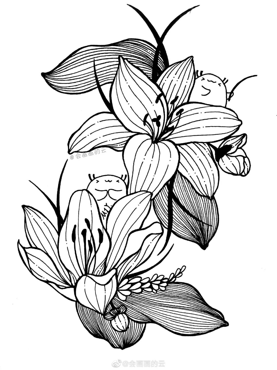 线描入门教程(太强了!