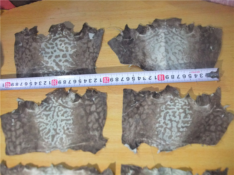 人造革是什么样子的（超全面珍稀皮革博览：33种罕见皮革材料图文集合）