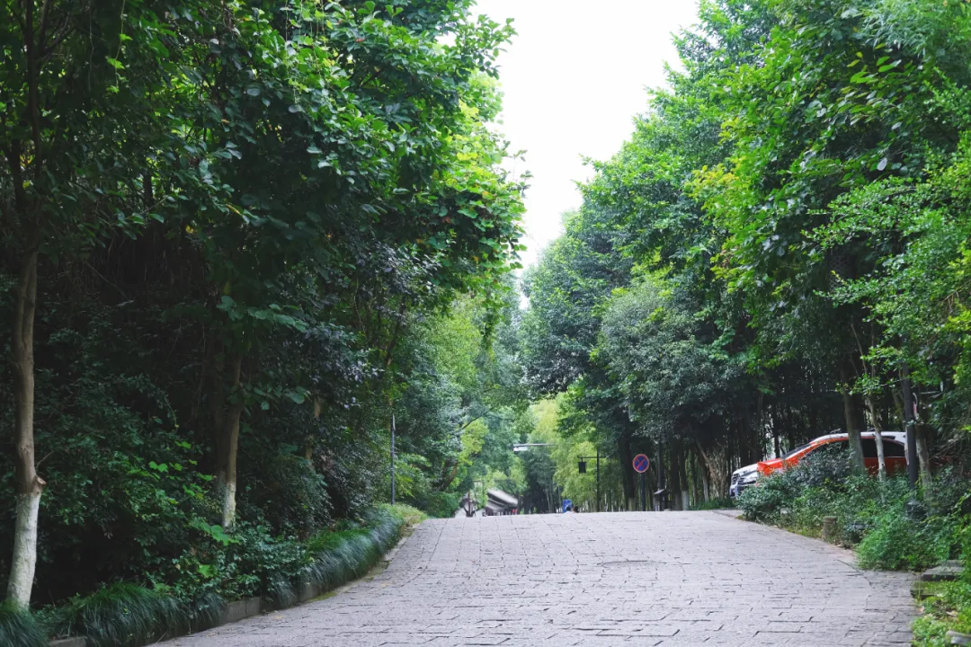诸暨：碳水王国，浙江沙县