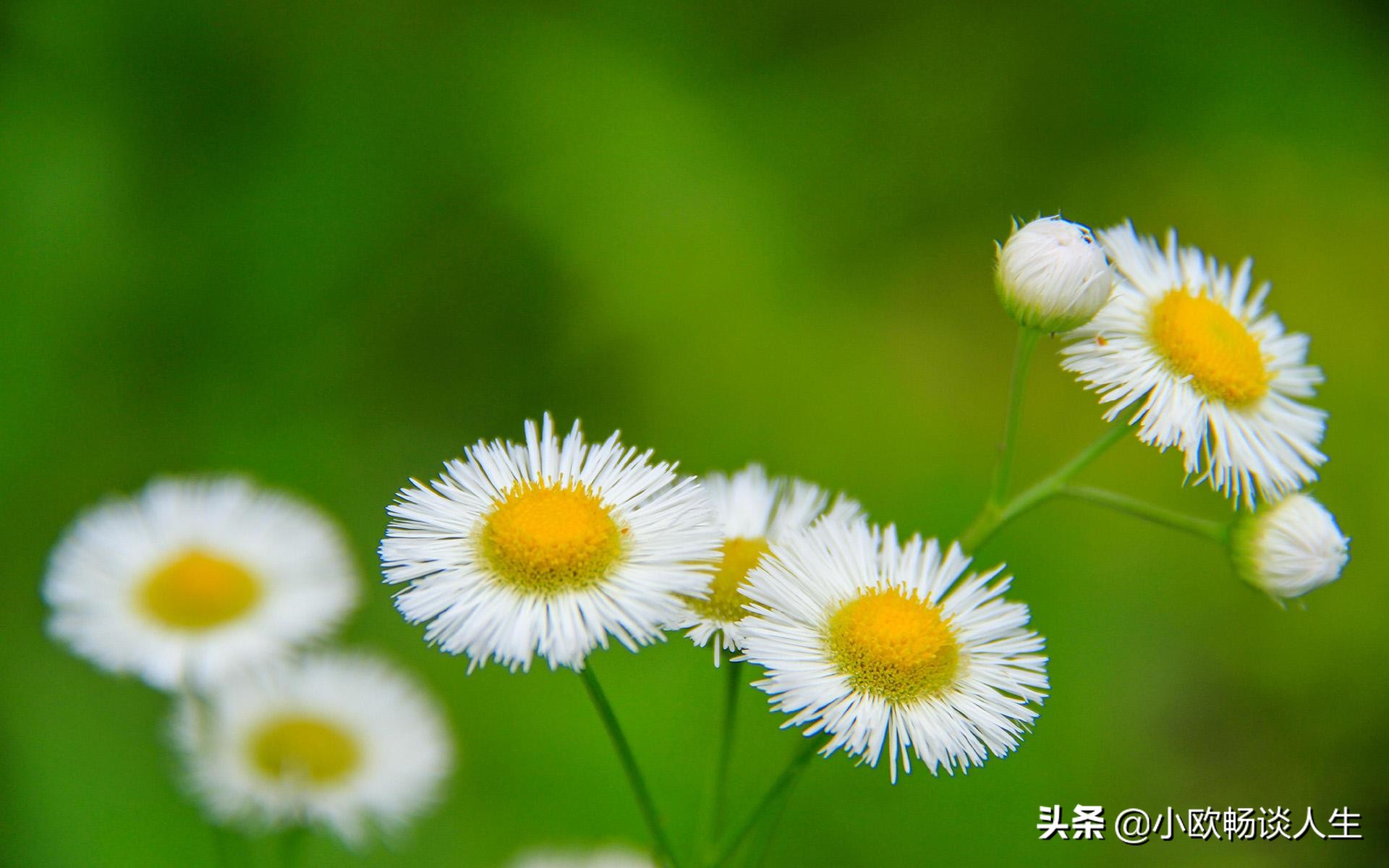 别让自己活得太累，放下沉重的包袱，轻松前行，无愧于心便好