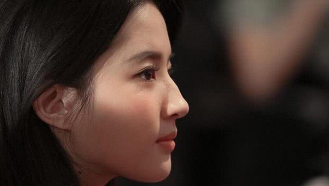 女生四大完美鼻型,每一款都很精致,你喜欢哪种?