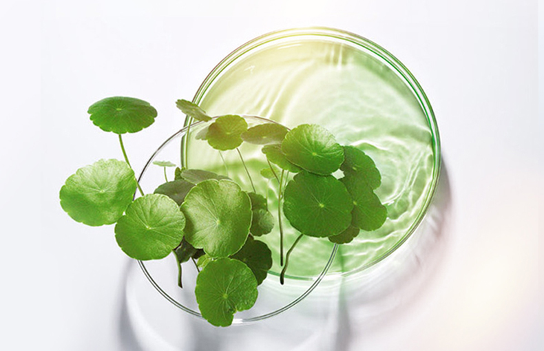 XDG二裂酵母凝润修护面膜有什么功效？护肤成分解读