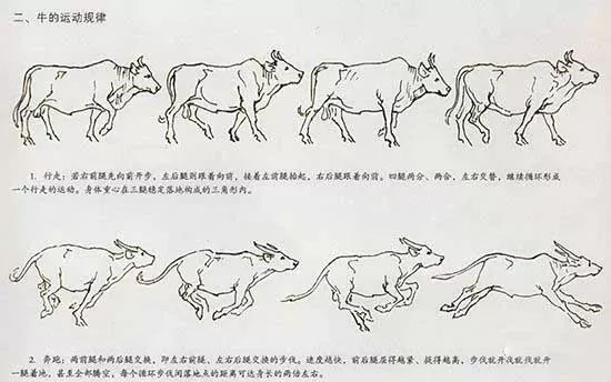 国画牛的绘画技法,一学就会!