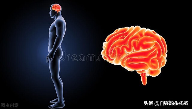 母蛇会 