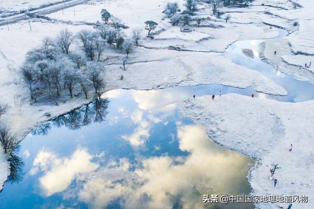 “人间秘境”，“神话之乡”，云南的“孔雀尾”开屏有多美？