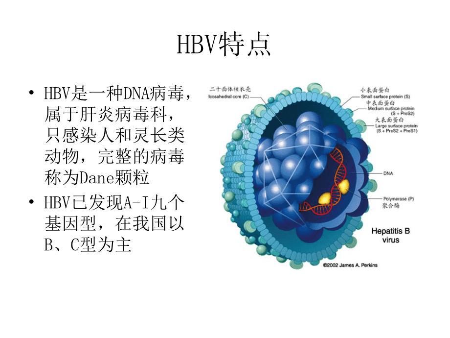 肝炎、肝硬化、肝腹水，三种肝病的检查和治疗，都是干货