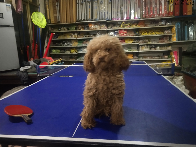 肺炎防疫下渔乐圈之众相：钓鱼人、渔塘老板、渔具商您忙对了吗？