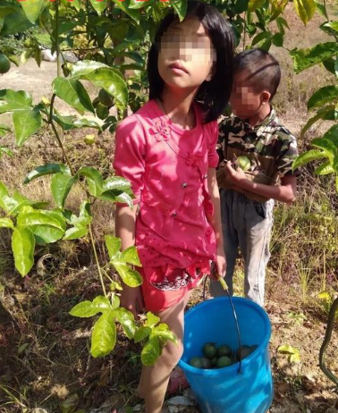 奸杀“百香果女童”因自首二审改判死缓最高法介入，母亲称一分钱没赔付，律师拟明后天递交申诉书