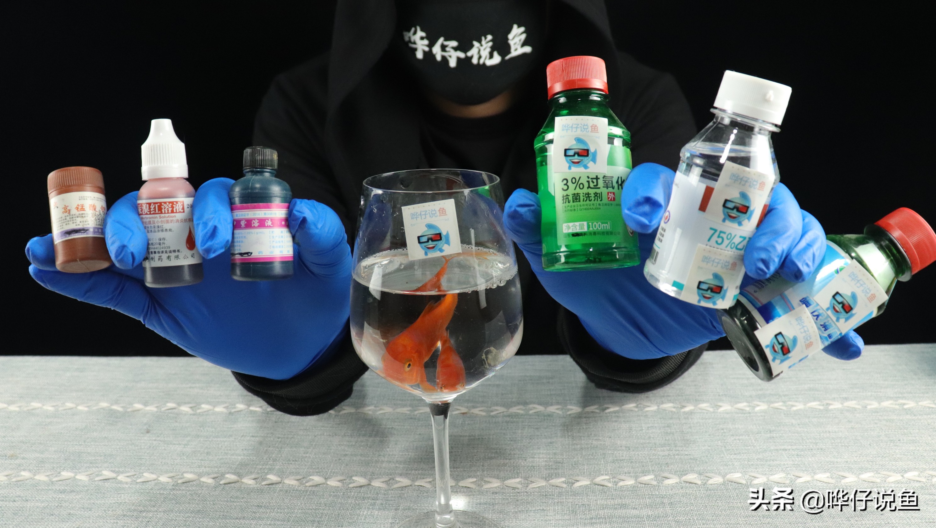 养鱼大神炼成记第三集：一条鱼病了，凭啥让全缸鱼跟着一起吃药？