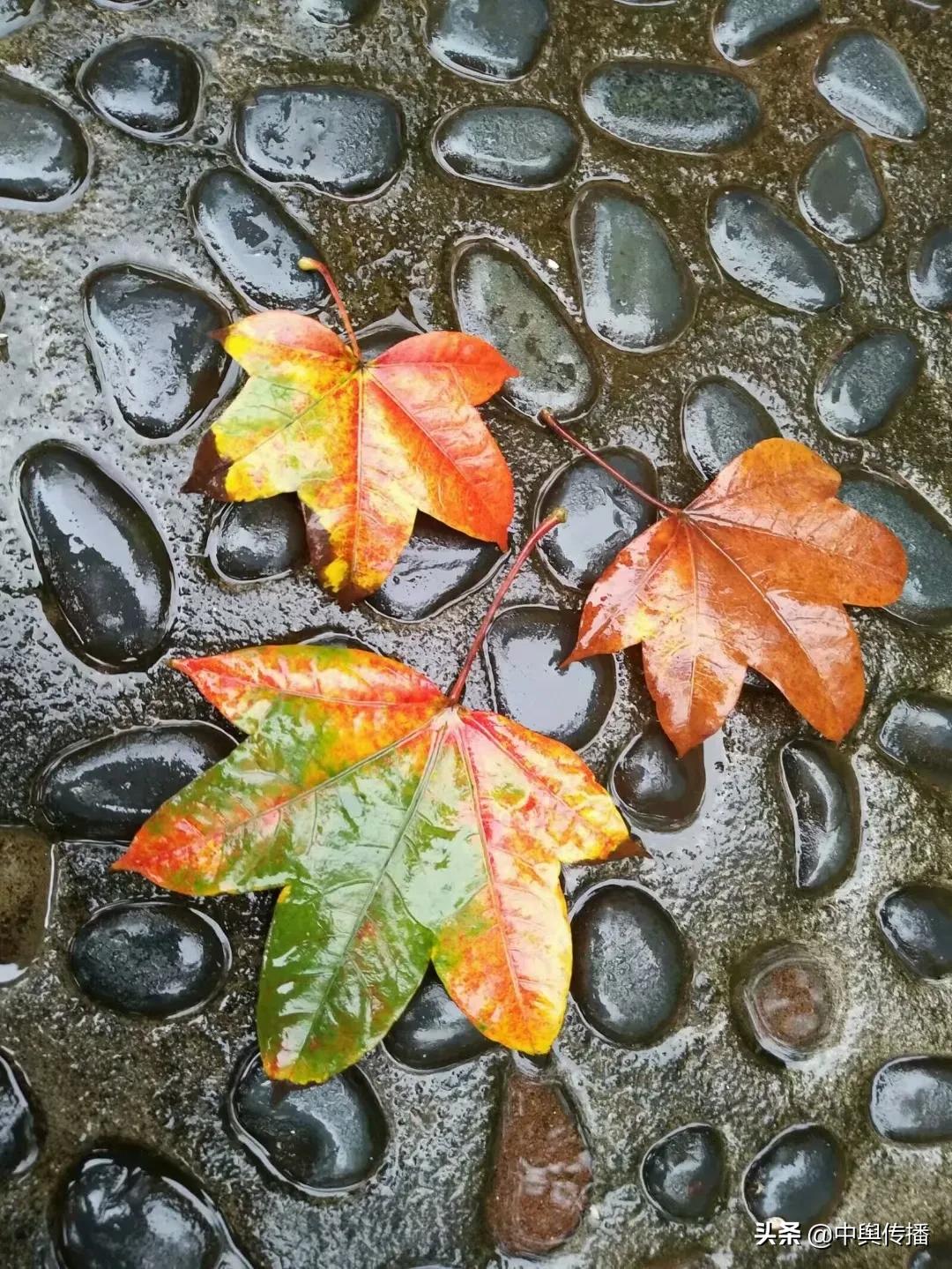 大雨在深秋到来