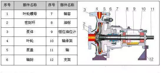 剖开看34种泵的内部结构图 性能特点一目了然