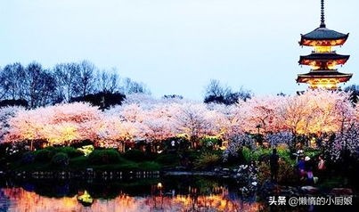 提起武汉除了热干面，你还能想到哪些代表性的美食？哪些你最爱？