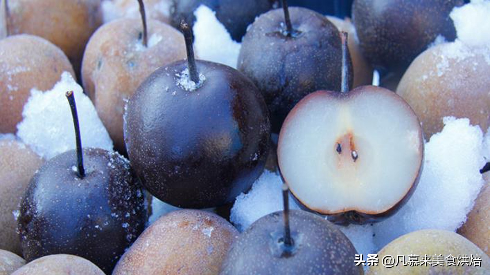 苹果梨图片（盘点全国最好吃的50种梨快收藏）