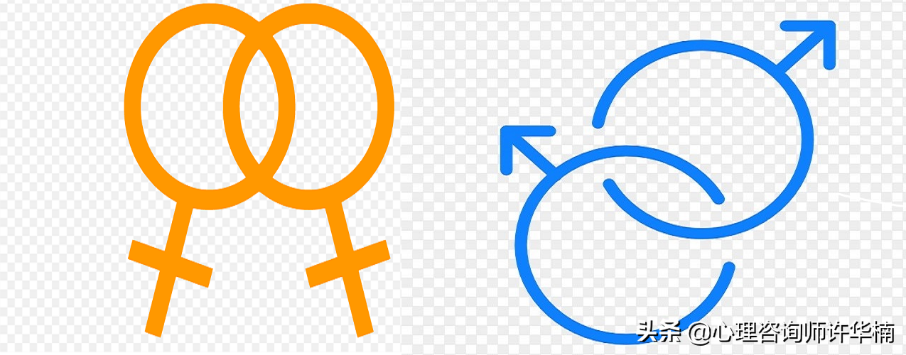 LGBTQ+群体十大经典特征：理解性少数群体的多样性与共性