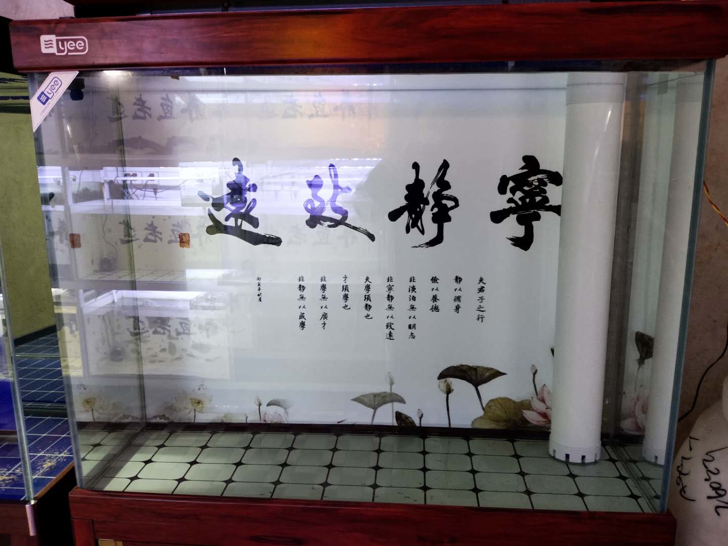 亚甲基蓝-新鱼入缸前如何消毒（新鱼入缸前如何消毒亚甲基蓝）