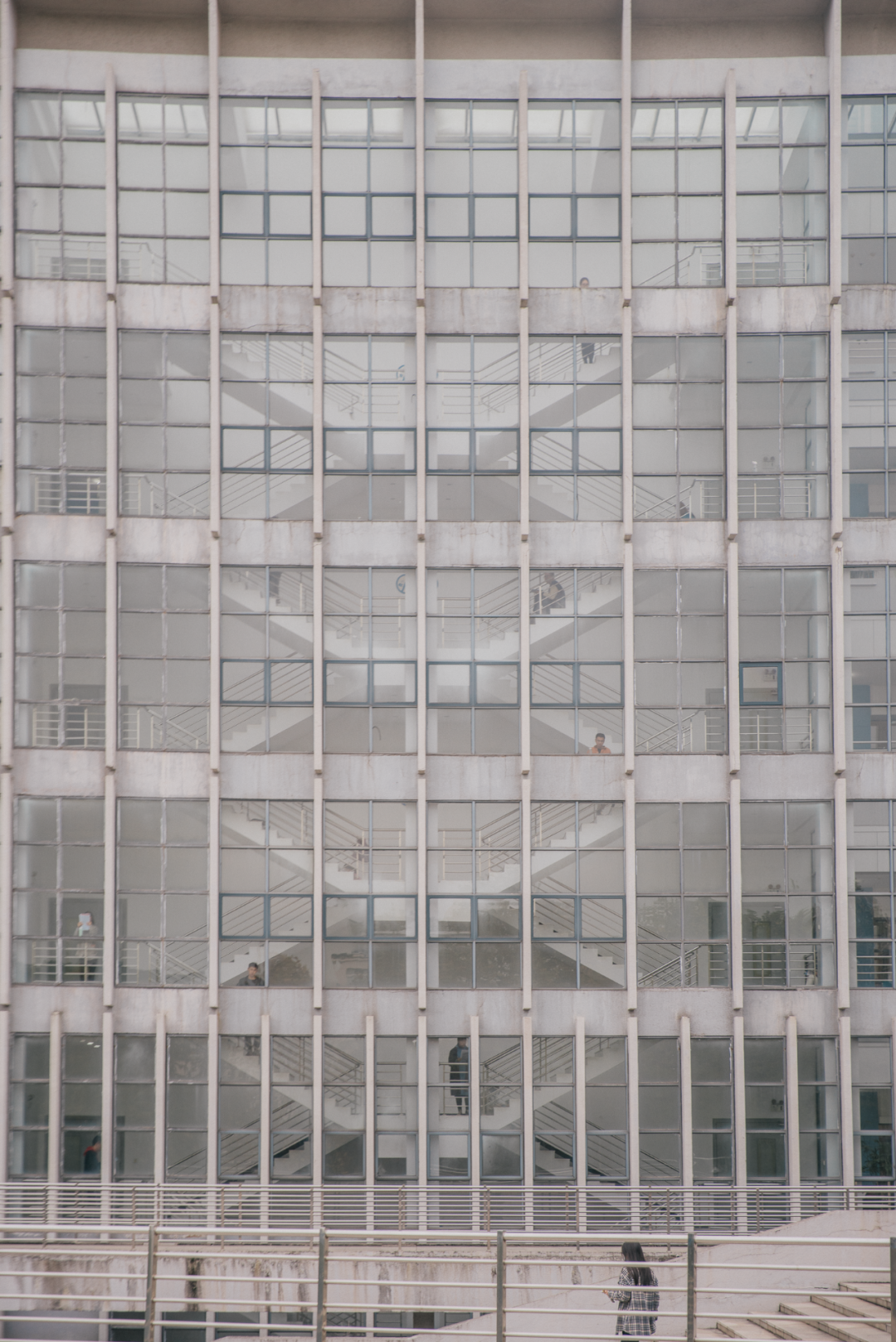 又是全国第一！华中农业大学，全体武汉人的骄傲