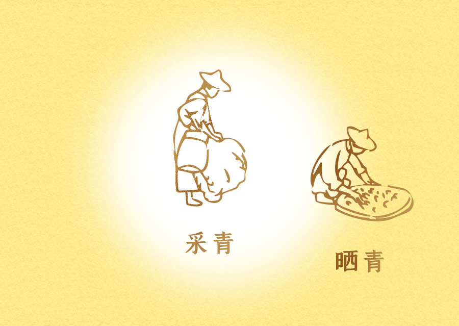 2021鐵觀(guān)音秋茶限量上市！山國工夫茶，懂茶人的選擇
