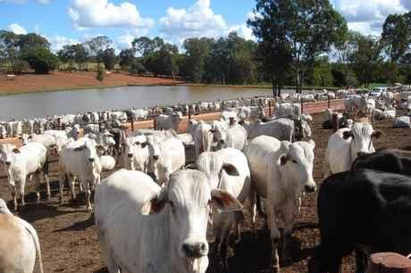 “地球之肺”在燃烧！谁该承担起生态责任？浙大博士后郭喨为你解析！
