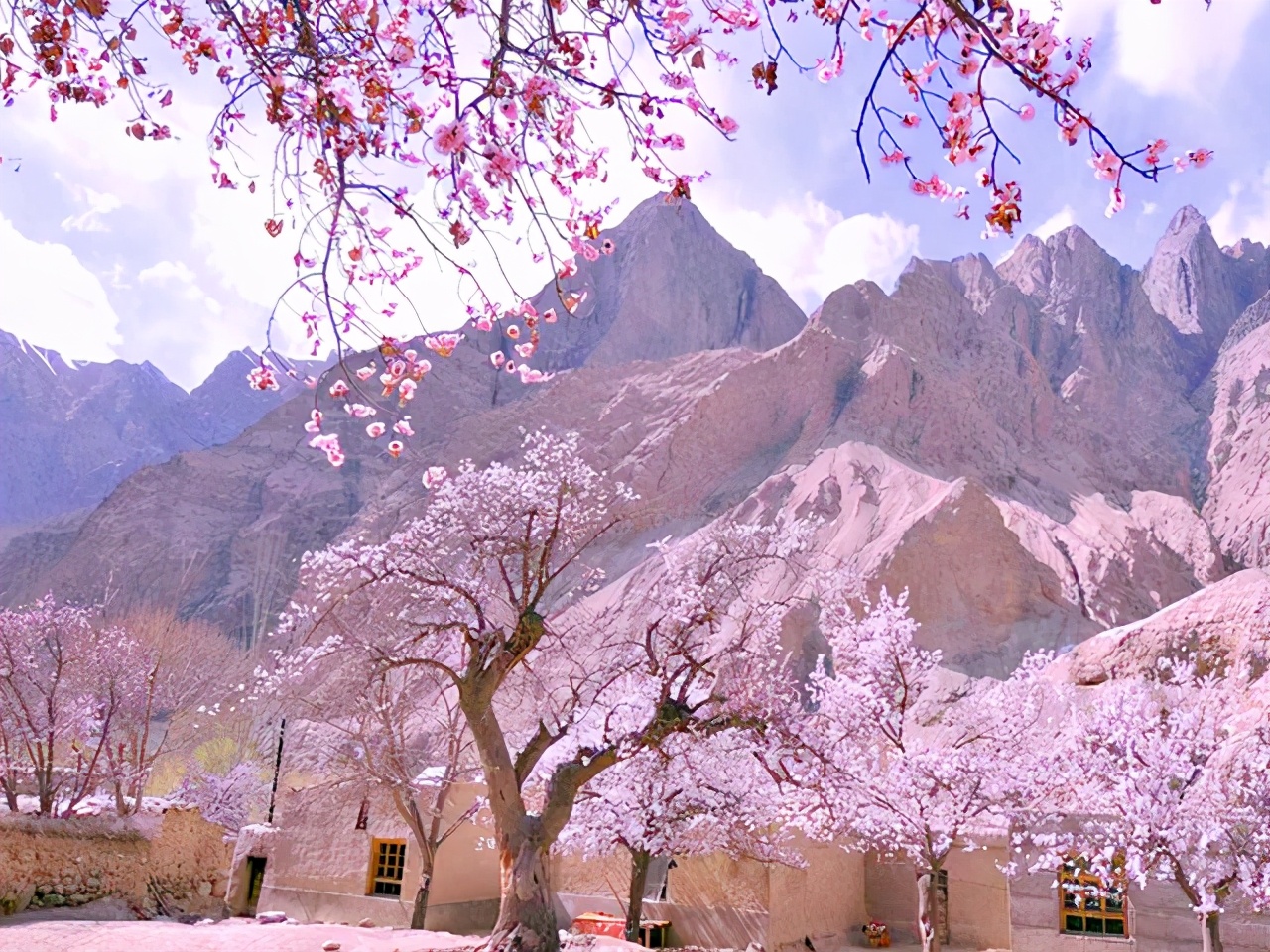 第一次来新疆旅游怎么玩？几月份最佳？收藏这篇旅游攻略