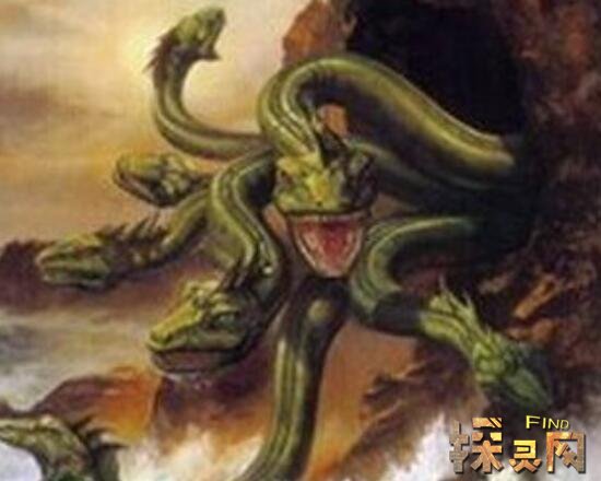 五頭蛇是真的嗎,五頭蛇是真的嗎?