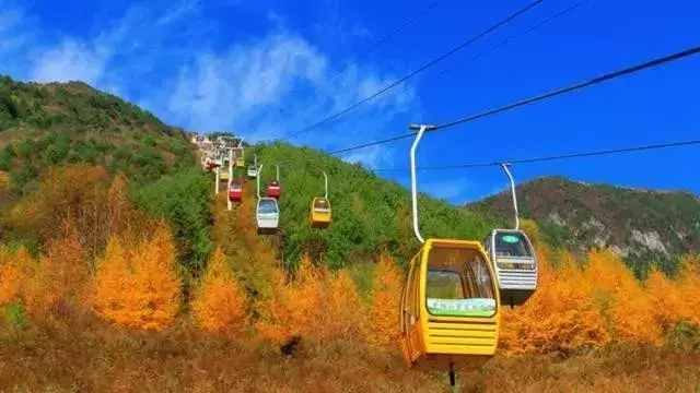 中国醉美秋色在秦岭,2条自驾路线解锁最绚烂秋景,10月最美