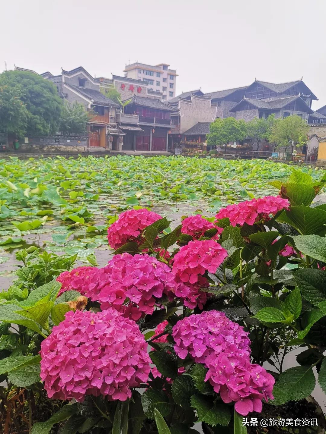 它比凤凰低调，比阳朔迷人，这座千年古城又解锁了新玩法