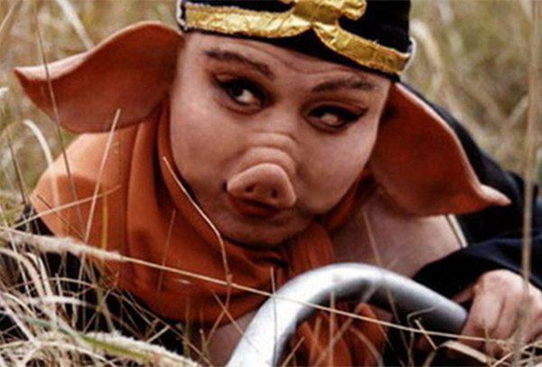 扇子一样的耳朵,较长的鼻子,插座一样的鼻孔,圆滚滚的身体,这几点是猪