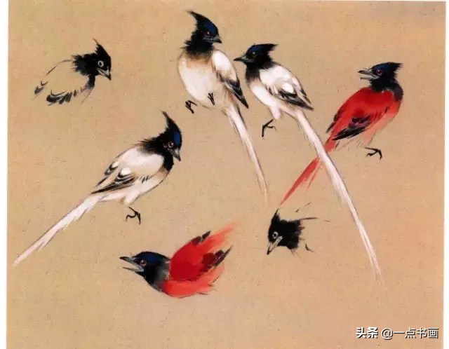 一学就会画——小写意禽鸟画法