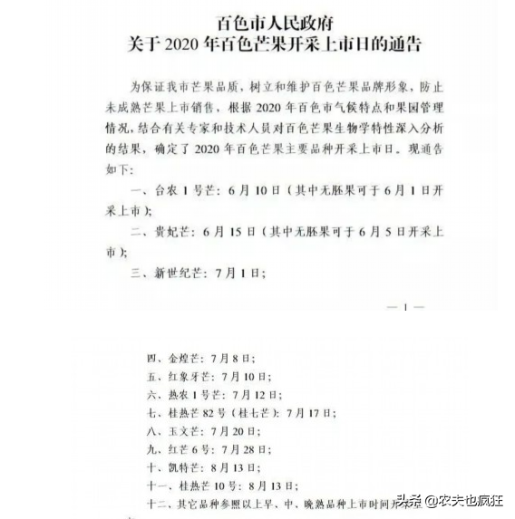 价格终于跌了,前段时间卖8-10块一斤,如今地头售价3块多
