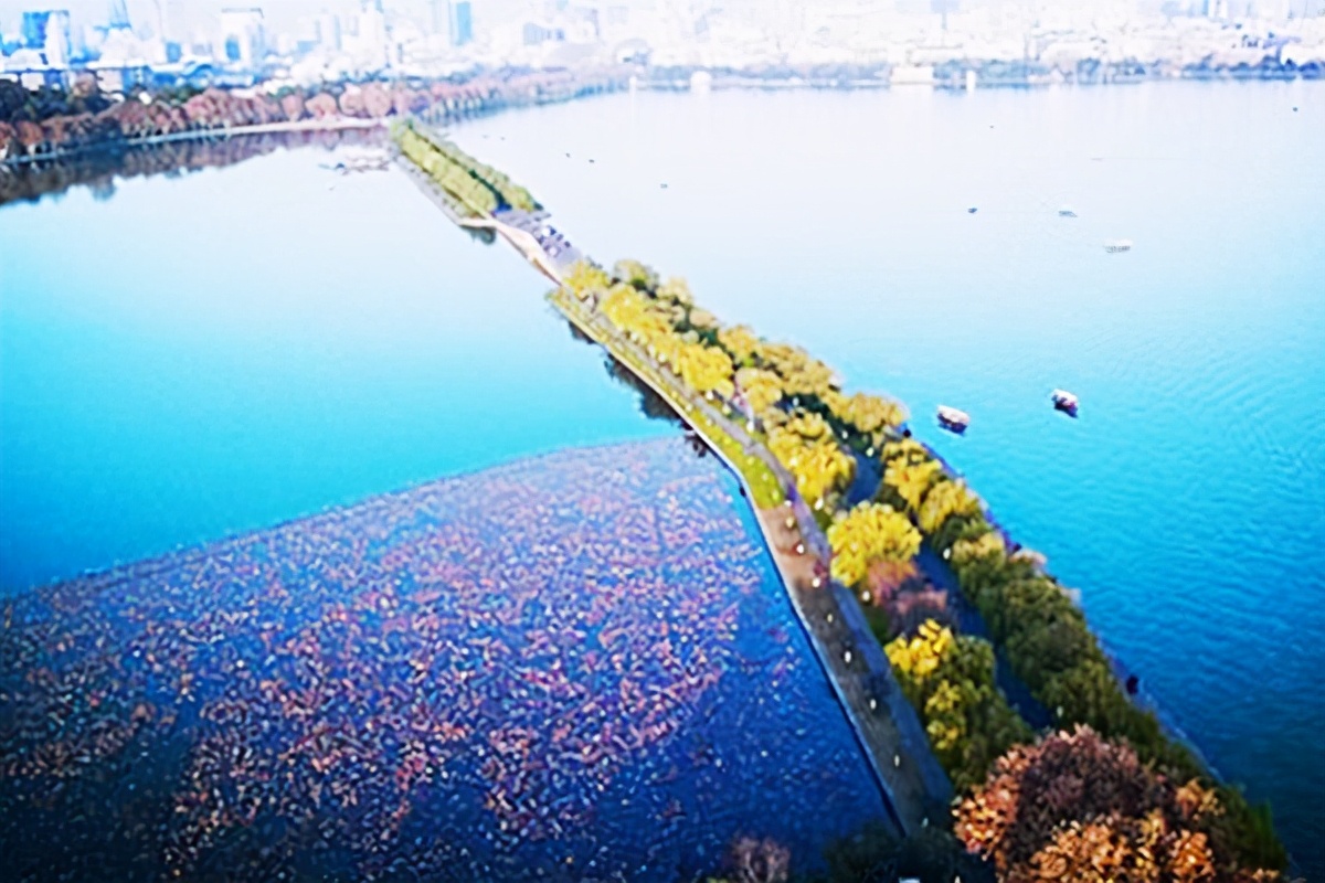 雨后西湖，绿树成荫，花香四溢，令人心旷神怡。