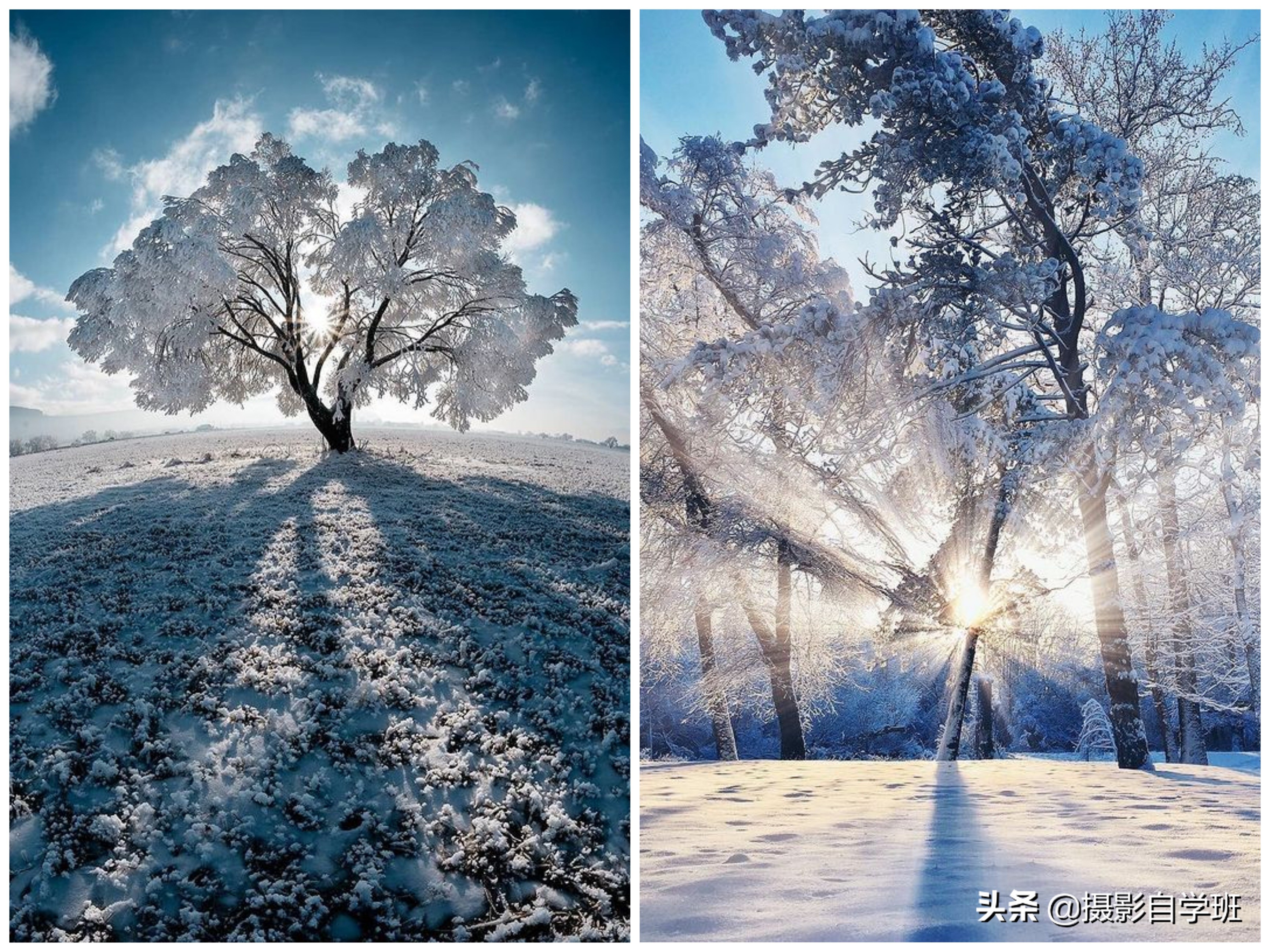 冬天的第一组雪景照片,必须美起来!这11个雪景摄影技巧能帮上你