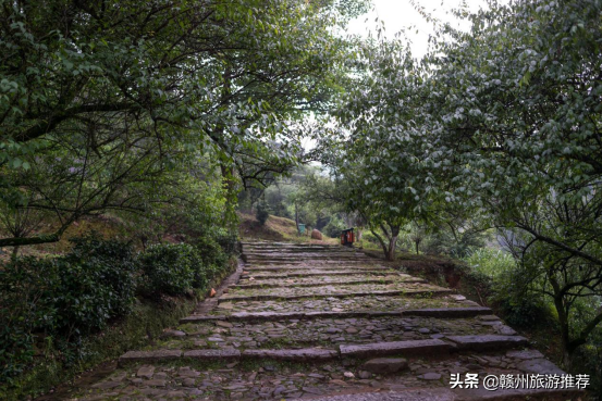 这4个私藏江西避暑好去处，星空露营、玩水赏景、爬山拍照都满足