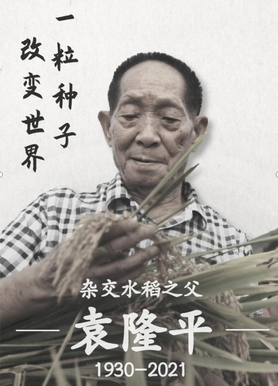 致敬“杂交水稻之父”袁隆平：除了珍惜粮食，我们还能做到这五点