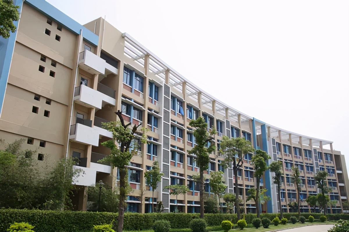 以后要叫【东莞市石竹实验学校】校友们在哪里呢?评论区报到一下!