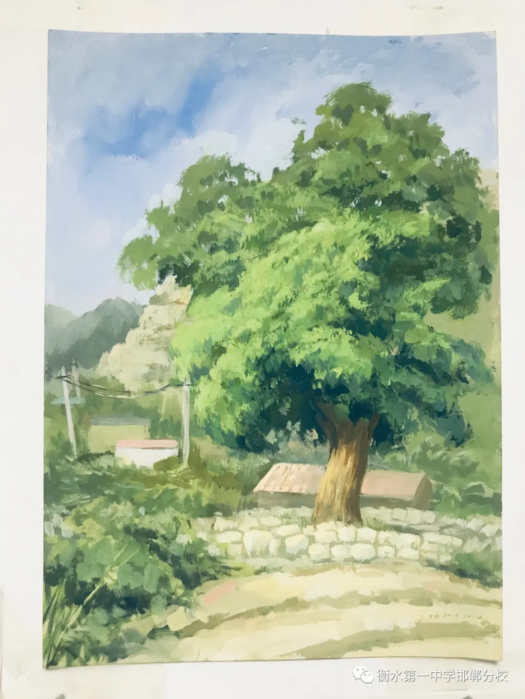 衡水一中邯郸分校｜2020美术特长生招生简章