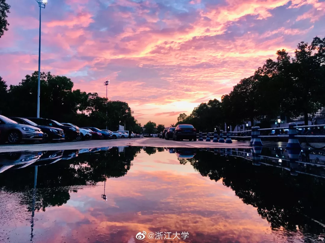 高考,再见