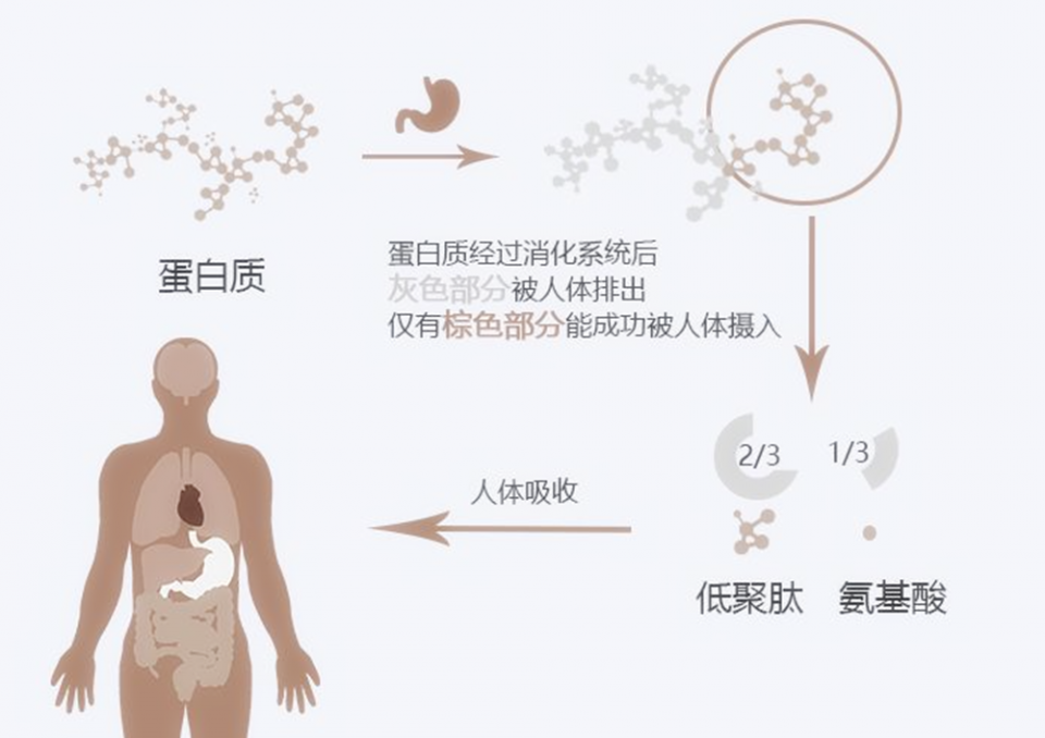 坐月子除了吃“鸡蛋”，这几种食物产妇也要多吃，有益于产后恢复