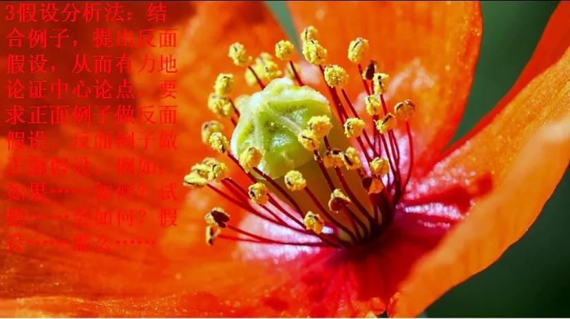 ֤(fang)֤ã-Ѷ