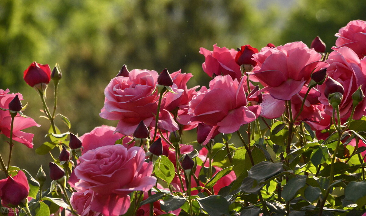 2021年郑州大学东三省录取分数