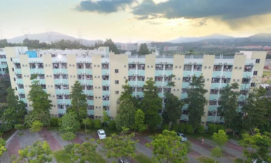 高职高考必看｜全面了解广东岭南职业技术学院